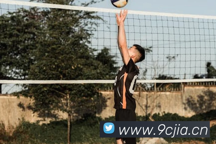 kaiyun官方平台平台生态图